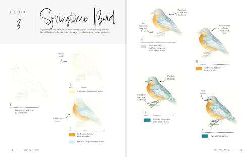 3-Color Watercolor: 30 Color-Mixing Masterpieces - Retail Maharaj