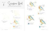 3-Color Watercolor: 30 Color-Mixing Masterpieces - Retail Maharaj