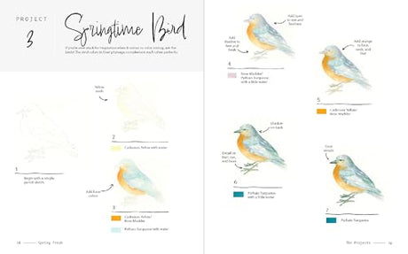3-Color Watercolor: 30 Color-Mixing Masterpieces - Retail Maharaj