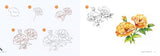 Draw 30: Flowers: in easy steps - Retail Maharaj