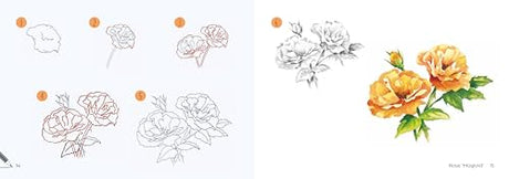 Draw 30: Flowers: in easy steps - Retail Maharaj