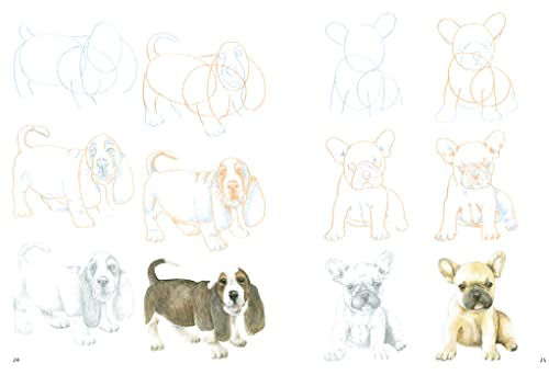 How to Draw Puppies in Simple Steps - Retail Maharaj