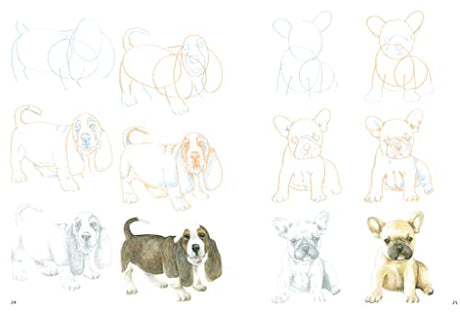 How to Draw Puppies in Simple Steps - Retail Maharaj