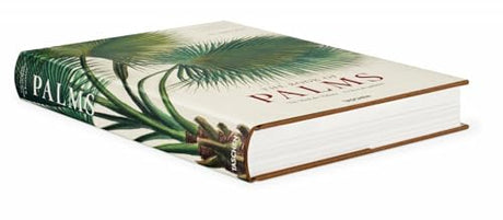 Martius. The Book of Palms - Retail Maharaj