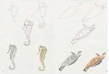 How to Draw: Sea Creatures - Retail Maharaj