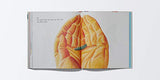 Hundred: What You Learn in a Lifetime - Retail Maharaj