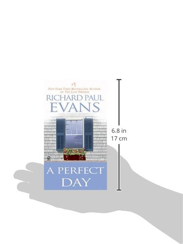 A Perfect Day - Retail Maharaj