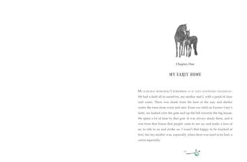 Black Beauty: A brand new retelling of the beloved classic, from the author of War Horse - Retail Maharaj
