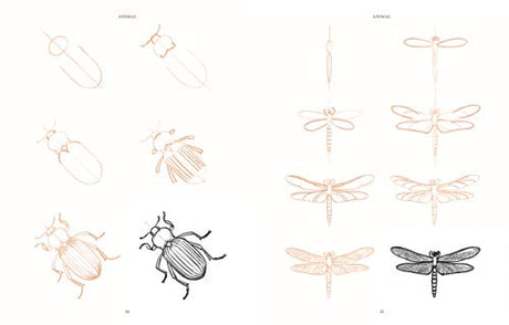 Draw 200 Animals: The Step-by-Step Way to Draw Horses, Cats, Dogs, Birds, Fish, and Many More Creatures - Retail Maharaj