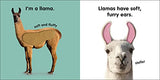 Baby Touch and Feel Llama - Retail Maharaj
