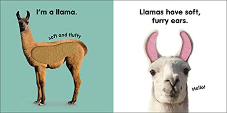 Baby Touch and Feel Llama - Retail Maharaj