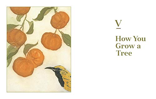 Fruit Trees for Every Garden: An Organic Approach to Growing Apples, Pears, Peaches, Plums, Citrus, and More - Retail Maharaj