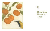 Fruit Trees for Every Garden: An Organic Approach to Growing Apples, Pears, Peaches, Plums, Citrus, and More - Retail Maharaj