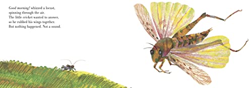 The Very Quiet Cricket Board Book - Retail Maharaj