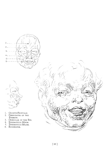 Heads, Features and Faces - Retail Maharaj