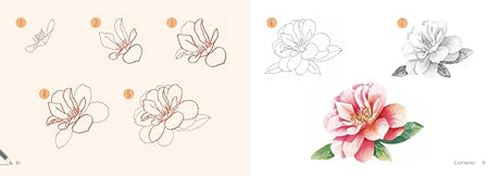 Draw 30: Flowers: in easy steps - Retail Maharaj