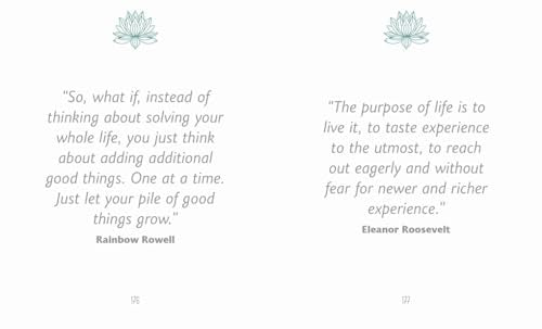 The Little Book of Ikigai - Retail Maharaj