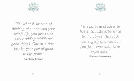 The Little Book of Ikigai - Retail Maharaj