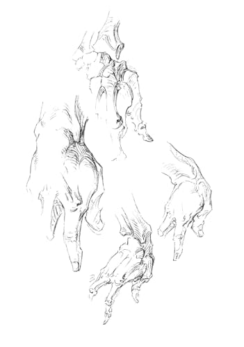 The Book of a Hundred Hands (Dover Anatomy for Artists) - Retail Maharaj