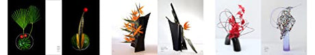 Ikebana Opposites Attract - Retail Maharaj