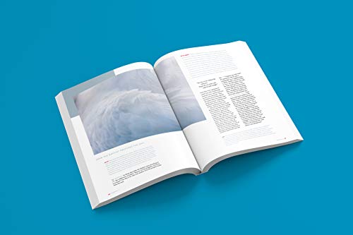 The New Testament Experience: The Gospels for the Modern World - Retail Maharaj