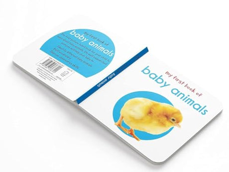 My First Learning Library: Boxset of 20 Board Books for Kids | Includes ABC, Numbers, Shapes, Colors, Wild & Baby Animals, Fruits, Vegetables, Transport, Toys, Opposites, Flowers, Sea Animals, People at Work, Food, About Me & More | Early Learning for Bab - Retail Maharaj