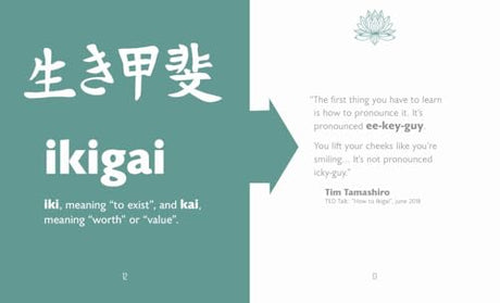 The Little Book of Ikigai - Retail Maharaj