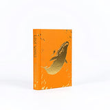 The Lost Whale - Retail Maharaj
