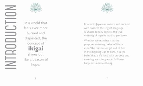The Little Book of Ikigai - Retail Maharaj