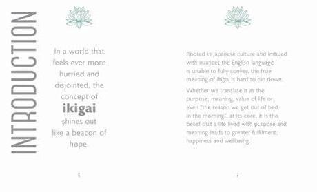 The Little Book of Ikigai - Retail Maharaj