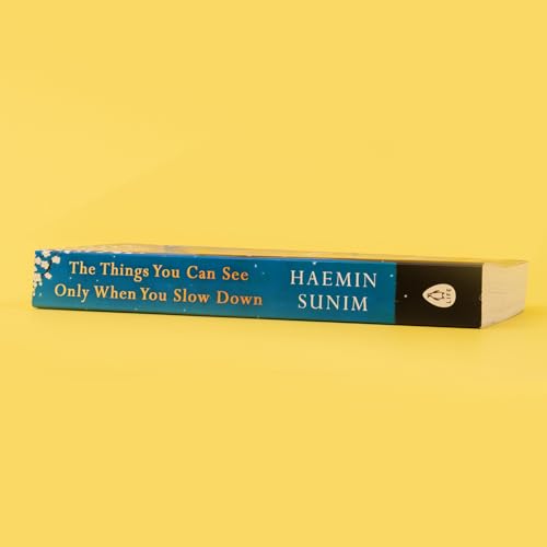 The Things You Can See Only When You Slow Down: How to be Calm in a Busy World - Retail Maharaj