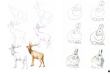 Draw 100: Animals - Retail Maharaj