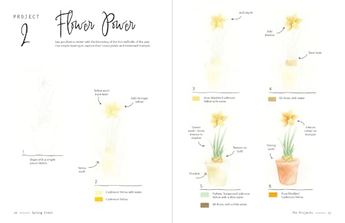 3-Color Watercolor: 30 Color-Mixing Masterpieces - Retail Maharaj