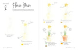3-Color Watercolor: 30 Color-Mixing Masterpieces - Retail Maharaj