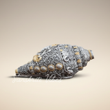 Sanskriti Vibes Decorative Lord Ganesha Shank – Silver Toned Conch Shell (12 cm x 6 cm) - Retail Maharaj