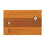 Baohong Academy Rough Surface Watercolour Paper Block 300 GSM 100 Percent Cotton - Retail Maharaj