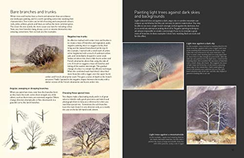 David Bellamy's Landscapes Through the Seasons in Watercolour - Retail Maharaj
