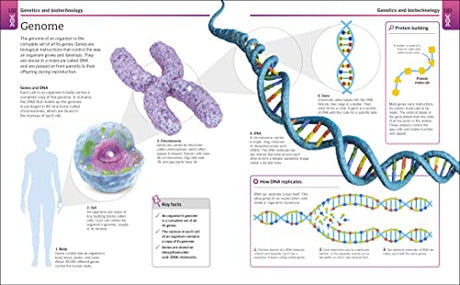 Biology: The Ultimate Bitesize Study Gui - Retail Maharaj