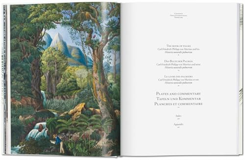 Martius. The Book of Palms - Retail Maharaj