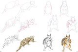 How to Draw: Mountain Animals: In Simple Steps - Retail Maharaj