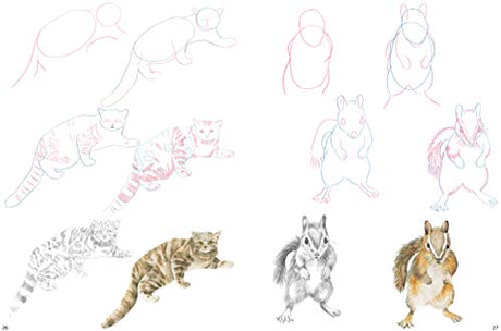 How to Draw: Mountain Animals: In Simple Steps - Retail Maharaj