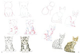 How to Draw: Kittens - Retail Maharaj