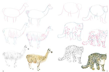 How to Draw: Mountain Animals: In Simple Steps - Retail Maharaj