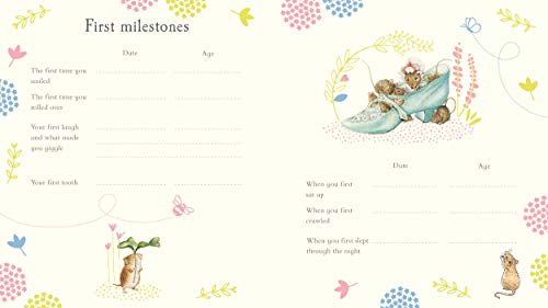 Peter Rabbit Baby Record Book - Retail Maharaj