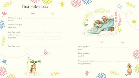 Peter Rabbit Baby Record Book - Retail Maharaj