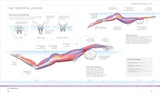 Science of Swimming: Transform Your Stroke, Improve Strength, Revolutionize Your Training - Retail Maharaj