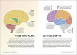 Simply The Brain (DK Simply) - Retail Maharaj
