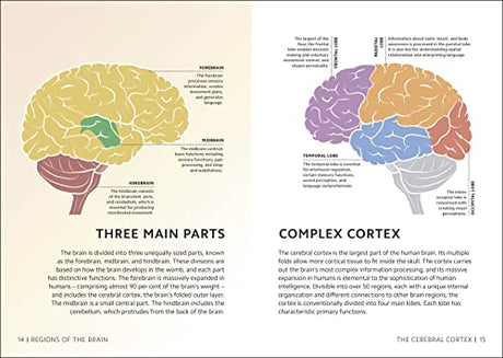 Simply The Brain (DK Simply) - Retail Maharaj