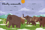 Bedtime Books: A Lovable Introduction to Animals and Dinosaurs - Retail Maharaj