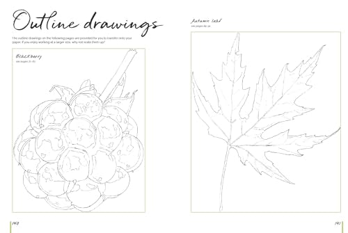 Anna Mason's Watercolour World: Create Vibrant, Realistic Paintings Inspired by Nature - Retail Maharaj